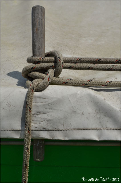 BLOG-DSC_21027-cabillot et bâche pinassotte verte