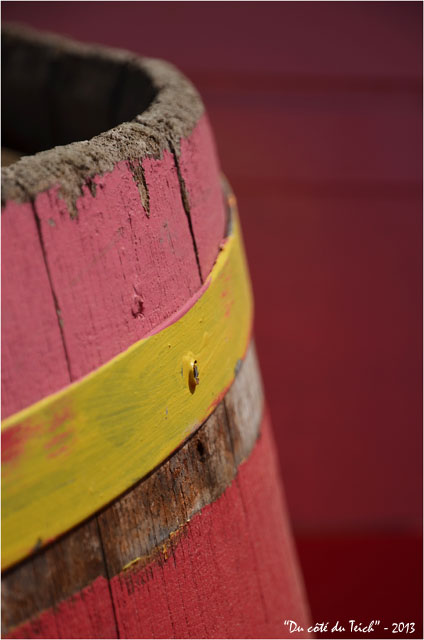 BLOG-DSC_21044-tonneaux rose jaune rouge