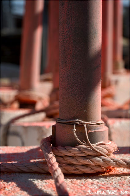 BLOG-DSC_21082-balises roses port Audenge