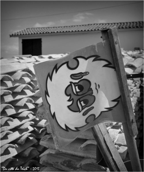 BLOG-DSC_21096-fanion tuiles à rechauler et cabane port Andernos N&B