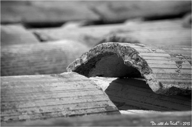 BLOG-DSC_21097-tuiles à rechauler N&B2 BLOG-DSC_21097-tuiles à rechauler N&B2