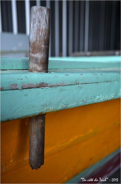 BLOG-DSC_21136-pinassotte du Teich