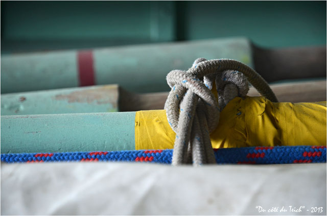 BLOG-DSC_21141-pinassotte du Teich