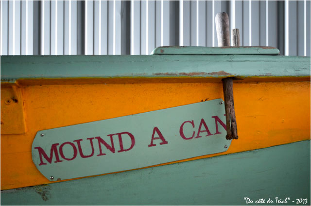 BLOG-DSC_21150-présentation pinassotte du Teich ex Mound A Can