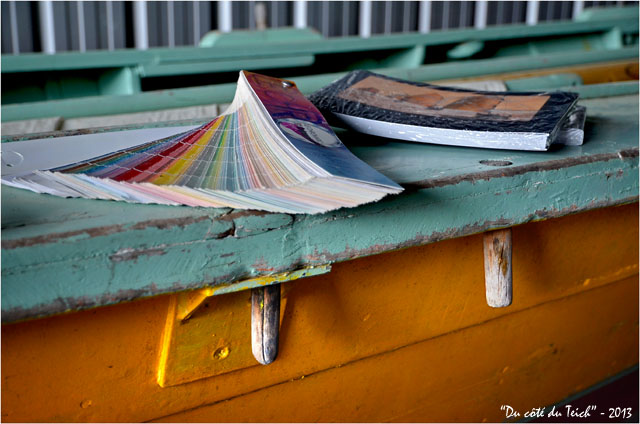 BLOG-DSC_21151-pinassotte du Teich nuancier peintures et livre photos Franck Perrogon