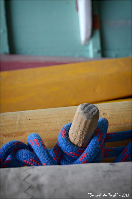 BLOG-DSC_21156-pinassotte du Teich