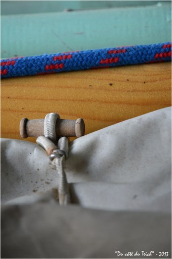 BLOG-DSC_21158-pinassotte du Teich