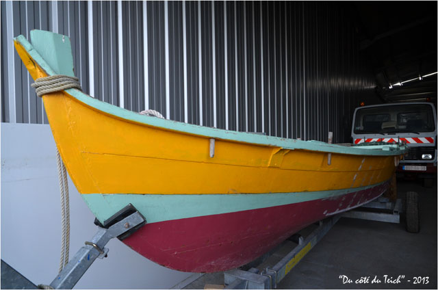 BLOG-DSC_21162-pinassotte du Teich