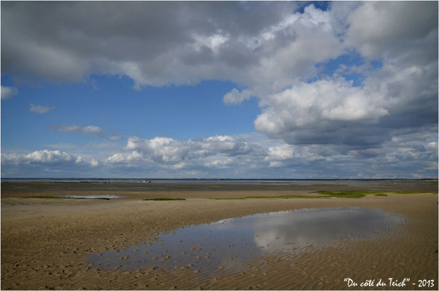 BLOG-DSC_21215-retour plate port Barbotière marée basse