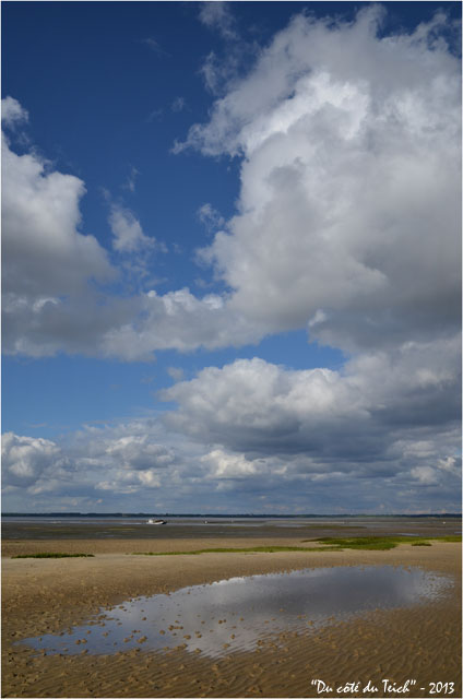 BLOG-DSC_21221-rivages ports Canal et Barbotière marée basse