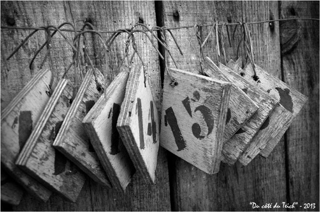 BLOG-DSC_21235-sacrés numéros N&B