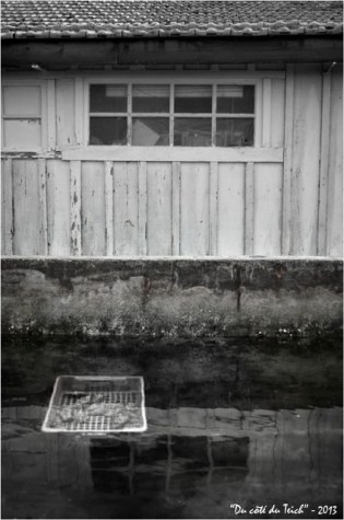 BLOG-DSC_21245-bassin affinage et cabane Meyran N&B