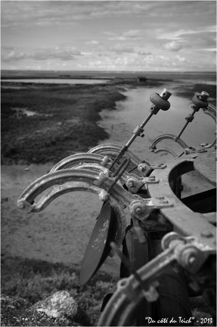 BLOG-DSC_21251-peseuse calibreuse rivages Meyran N&B