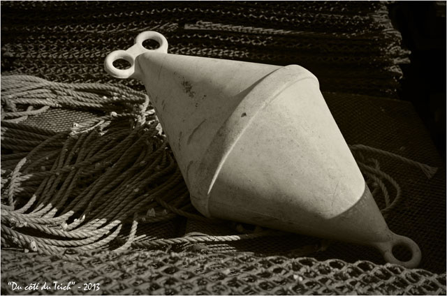 BLOG-DSC_21269-bouée sur poches à huîtres sépia