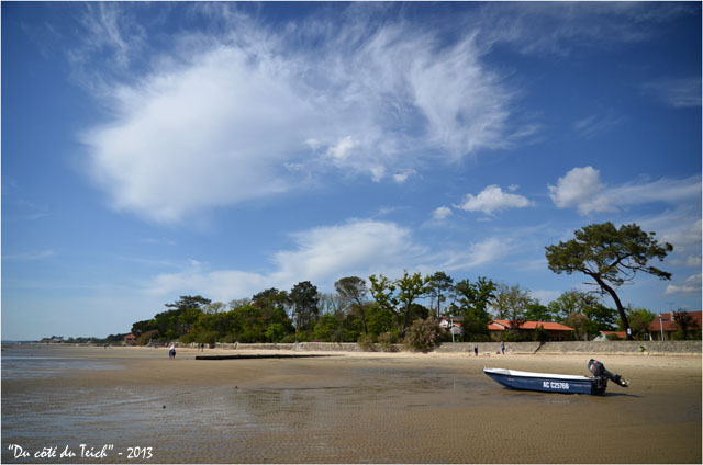 BLOG-DSC_21285-plage Taussat