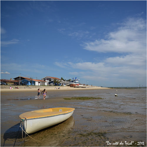 BLOG-DSC_21291-rec-plage Taussat