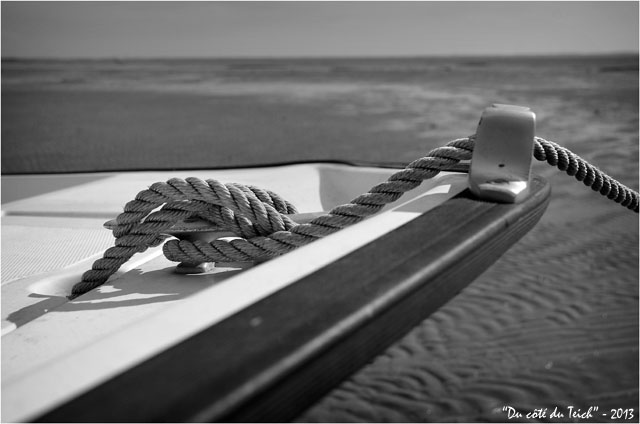 BLOG-DSC_21300-bouts bateau rivages Taussat N&B