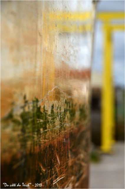 BLOG-DSC_21387-reflet portique plate ostréicole l'Embellie