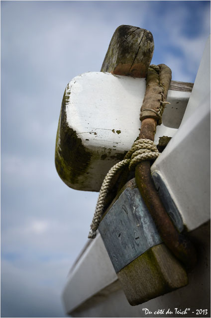 BLOG-DSC_21424-catamaran port Canal 3