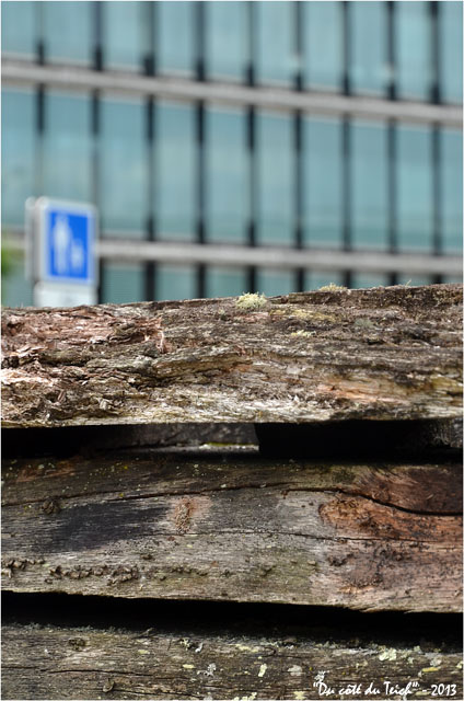 BLOG-DSC_21562-palissade jardin botanique Bordeaux Bastide panneau et façade vitrée