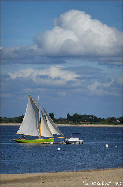 BLOG-DSC_22211-Zaza pointe Aiguillon