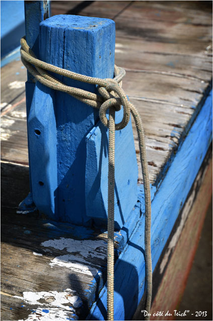 BLOG-DSC_22469-bouts plate bleue