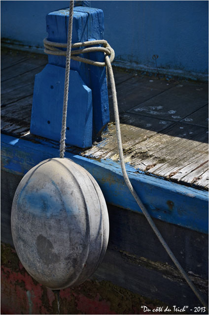 BLOG-DSC_22473-bouée plate bleue