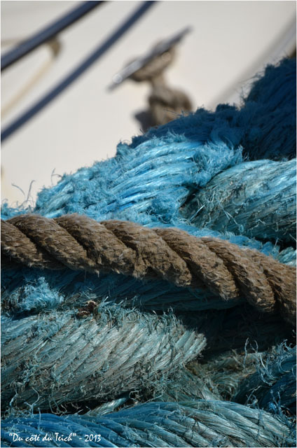 BLOG-DSC_22479-cordage bleu et bouts coque blanche 2