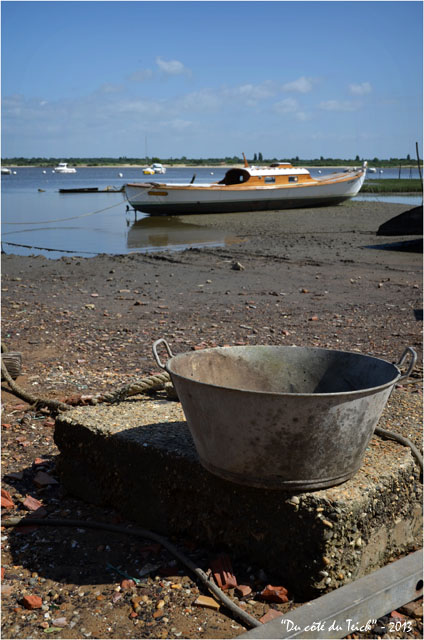 BLOG-DSC_22511-bassine et pinasse pointe Aiguillon