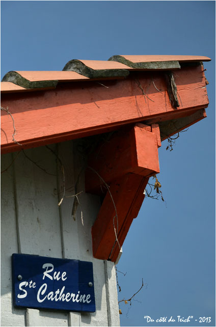 BLOG-DSC_22730-rue Ste Catherine village ostréicole le Canon