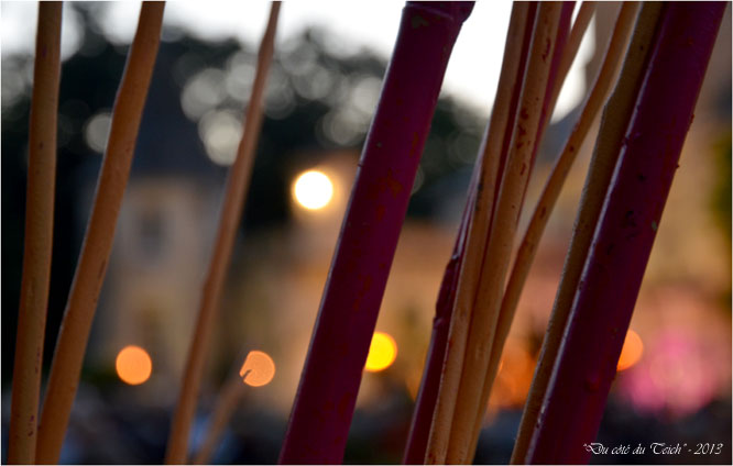 BLOG-DSC_22944-décor escapades musicales 2013 et lumières château de Ruat le Teich