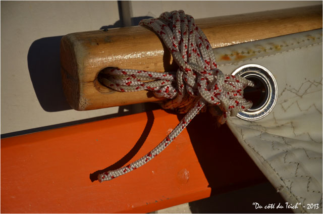 BLOG-DSC_23094-pinassotte l'Audengeoise