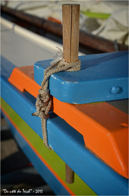 BLOG-DSC_23097-pinassotte l'Audengeoise