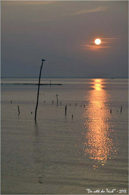 BLOG-DSC_23287-coucher de soleil port Larros