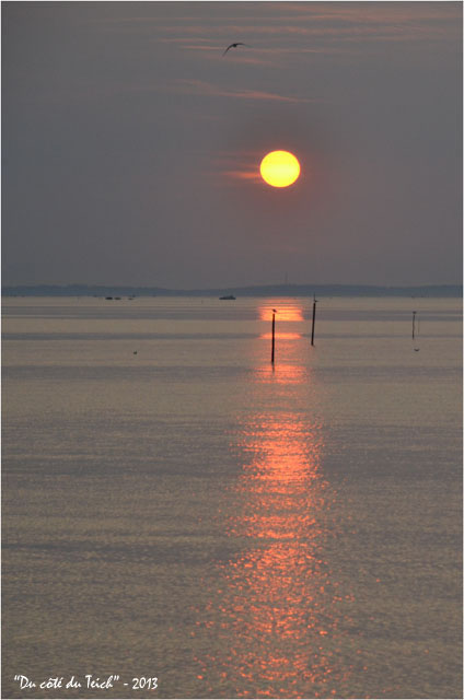BLOG-DSC_23292-coucher de soleil port Larros