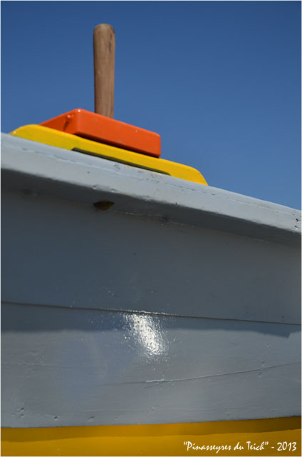 BLOG-DSC_23727-pinassotte la Teychine ex Mound a Can