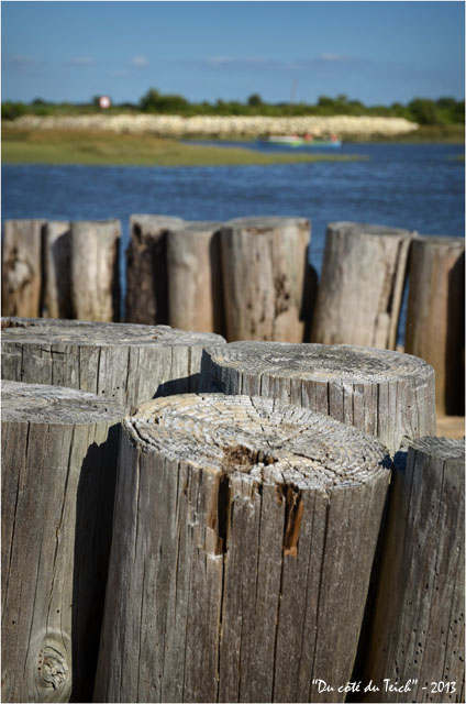 BLOG-DSC_24197-rivages Audenge et l'Audengeoise régate 10 Août 2013