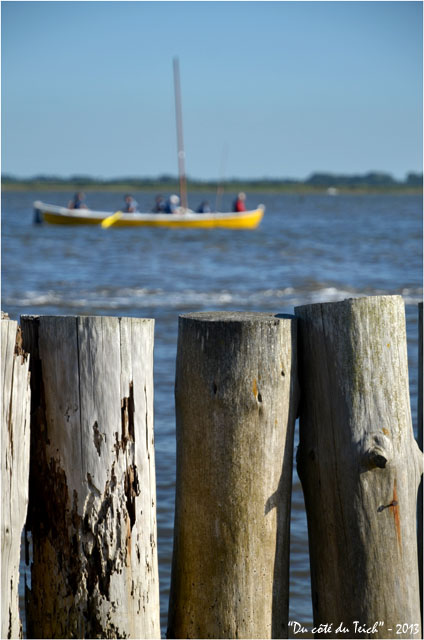 BLOG-DSC_24243-régate Audenge 10 Août 2013