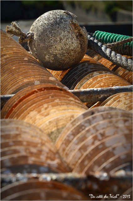 BLOG-DSC_24290-collecteurs à lamelles ferailles et bouée