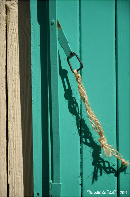 BLOG-DSC_24654-volet vert le Canon