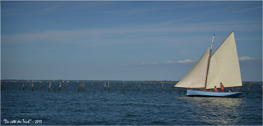 BLOG-DSC_24736-Loango 2 régate le Canon 17 Août 2013