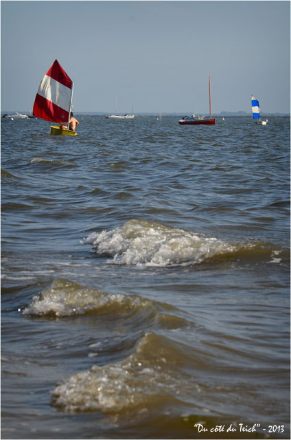 BLOG-DSC_24775-optimiste Taussat