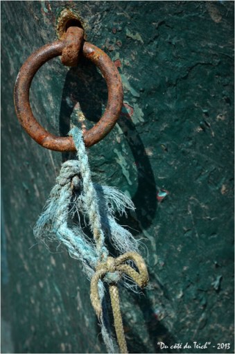 BLOG-DSC_24783-anneau amarrage bateau vert