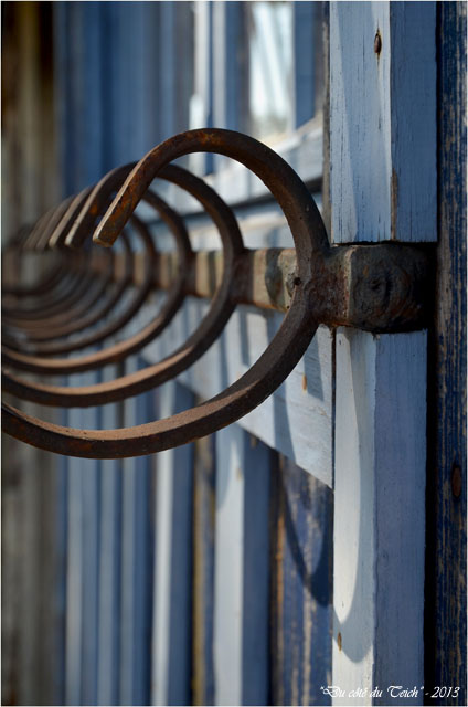 BLOG-DSC_24885-grille cabane Biganos