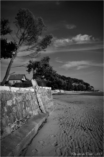 BLOG-DSC_24987-échelle et maison plage Taussat N&B BLOG-DSC_24987-échelle et maison plage Taussat N&B2