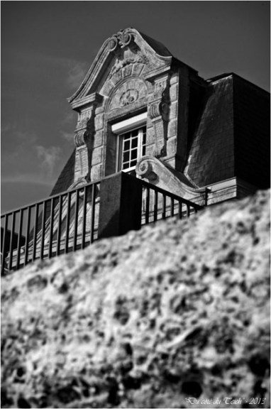 BLOG-DSC_25005-Castel Landou Taussat N&B