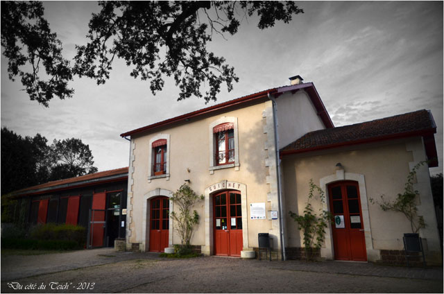 BLOG-DSC_25468-gare Sabres écomusée Marquèze N&C