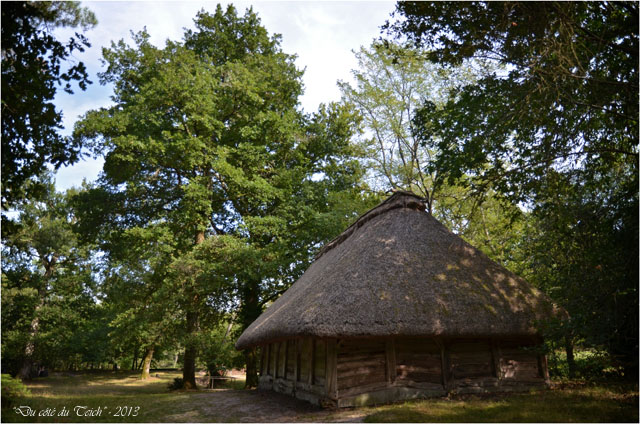 BLOG-DSC_25285-borde des sorcières Marquèze