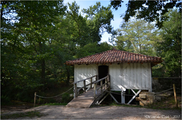 BLOG-DSC_25328-moulin Marquèze