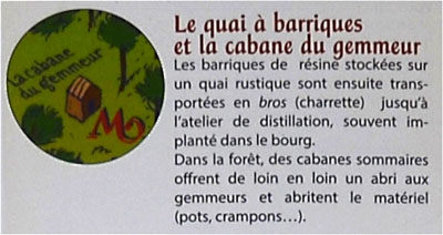 BLOG-DSC_25472-visite Marquèze-description quai à barriques et cabane du gemmeur